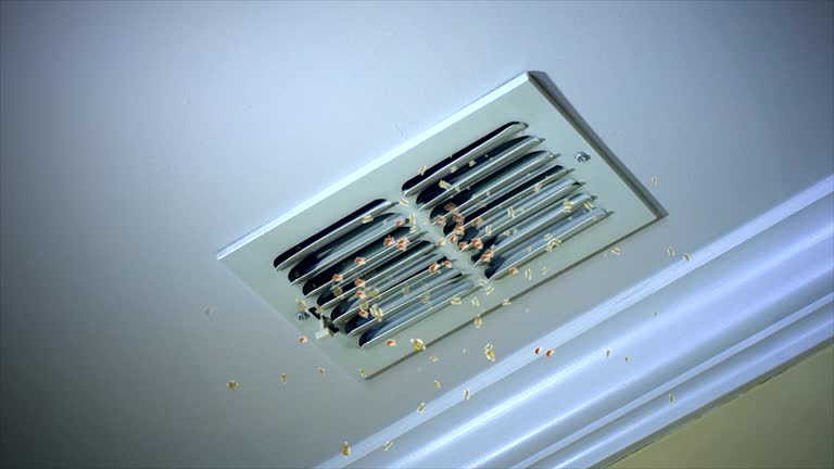 Best Air Vent Cleaning Services  in Mineralwells, WV